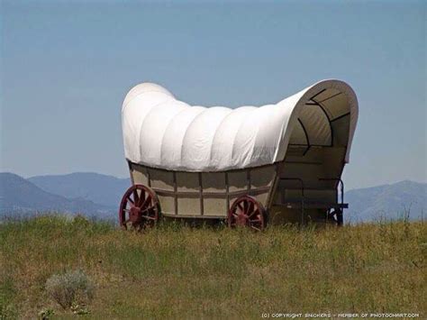 What A Life Covered Wagon Wagon Conestoga