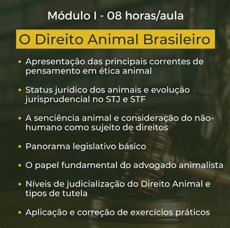 Curso Prática em Advocacia Animalista MÓDULO I IMPULSOVET