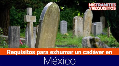 Conoce Los Requisitos Para Exhumar Un Cad Ver En M Xico