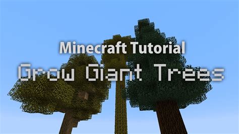 How To Make Trees Grow Faster In Minecraft