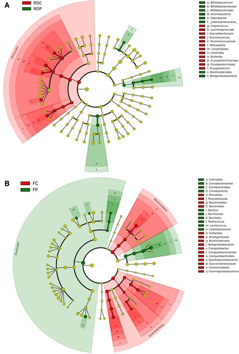 Cladogram Plotted From The Data Of The Linear Discriminant Analysis And