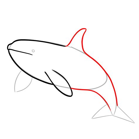 orca whale drawing 10