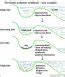 Formation Of Organic Molecules In An Earthly Reducing Atmosphere