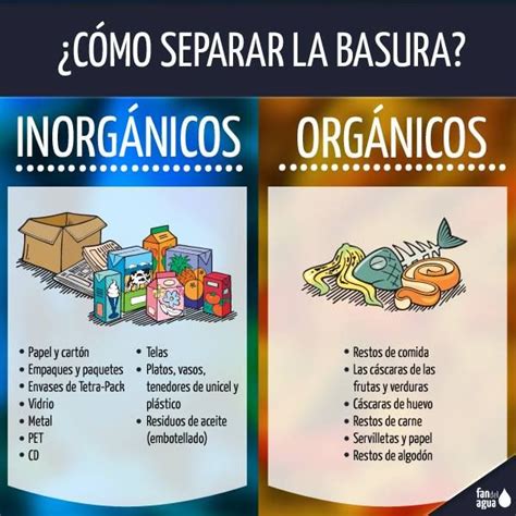 Los 5 Ejemplos De Basura Organica Para Aprender