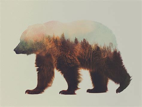 Norwegian Artist Merges Animals And Their Homes In Double Exposure