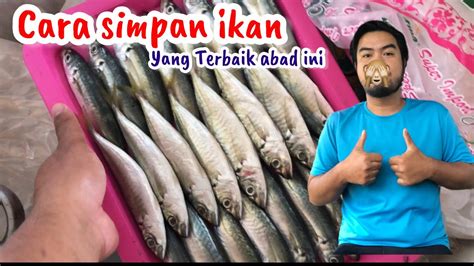 Cara Terbaik Simpan Ikan Mencari Solusi Untuk Simpan Ikan Dalam Peti