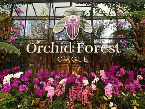 Wahana Dan Harga Tiket Masuk Orchid Forest Cikole