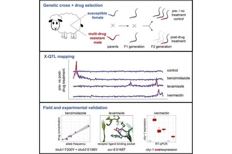 Resistance Genes Mapped For Drugs To Treat Parasitic Worms