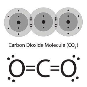 Co2 Covalent Bond