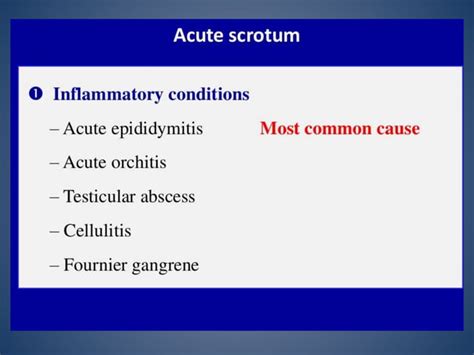 Imaging Of Inguino Scrotal Region PPT