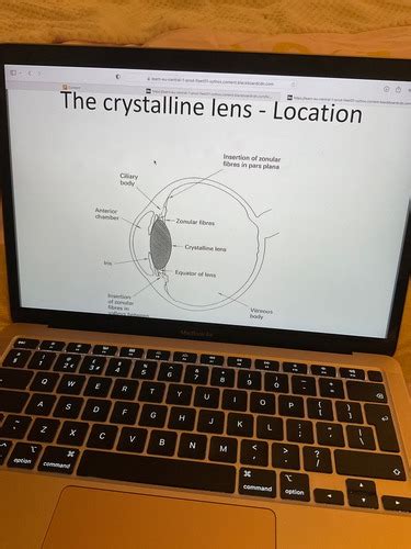 The Lens Flashcards Quizlet