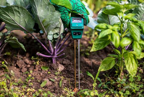 Basics Of Soil Moisture Sensors