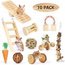 10 Best Rat Toys for Your Pet Will Likely Enjoy - Toy Pet Reviews