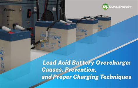 Lead Acid Battery Overcharge Causes Prevention And Proper Charging Techniques Mokoenergy