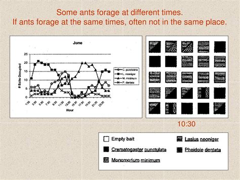 Ppt Ecological Niches Powerpoint Presentation Free Download Id 6103931