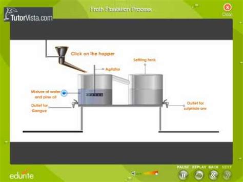 Diagram Of Froth Flotation Process Draw The Diagram Showing