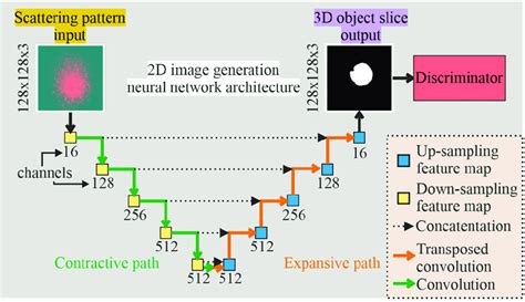 Simplified diagram of the neural network. | Download Scientific Diagram