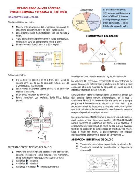 Metabolismo Calcio Fosforo Paratohormona Vitamina D Neuronita Study