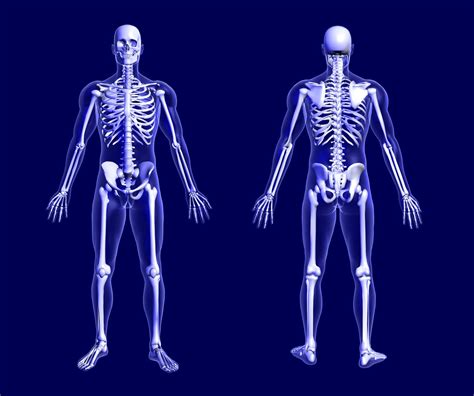 Рентген Картинки Для Детей HD фотoграфии