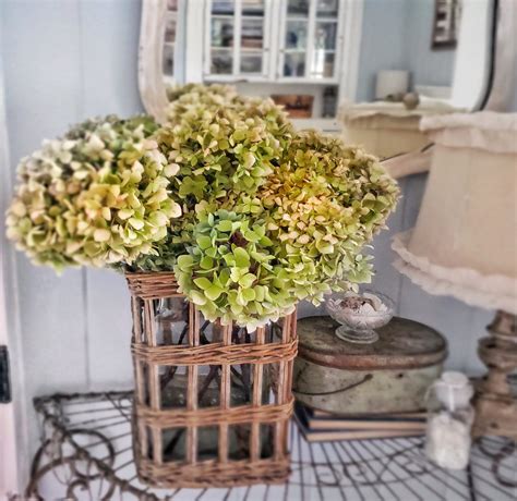 3 Easy Ways To Dry Hydrangeas Shiplap And Shells