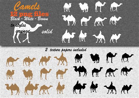 Camel Silhouette Kit Graphic By Bolog Marius · Creative Fabrica