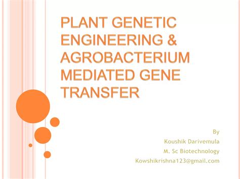 Plant Genetic Engineering Agrobacterium Mediated Gene Transfer Pptx