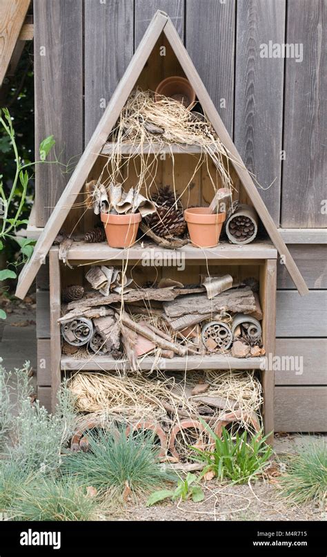 Bug house hi-res stock photography and images - Alamy