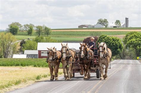 Amish Mens Hairstyles A Style Guide — Amish Baskets