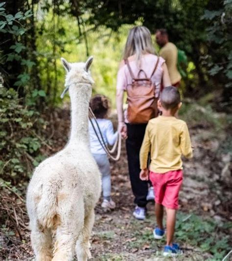 Le 20 Migliori Esperienze Da Regalare Ai Bambini Holidoit