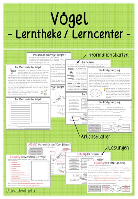 VÖGEL Lerntheke Unterrichtsmaterial in den Fächern Biologie