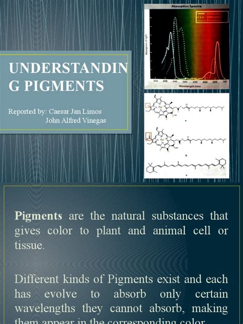 Understanding Pigments Powerpoint | PDF