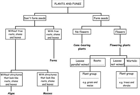 17 Best images about Classification Chart on Pinterest | Loom, Animal ...