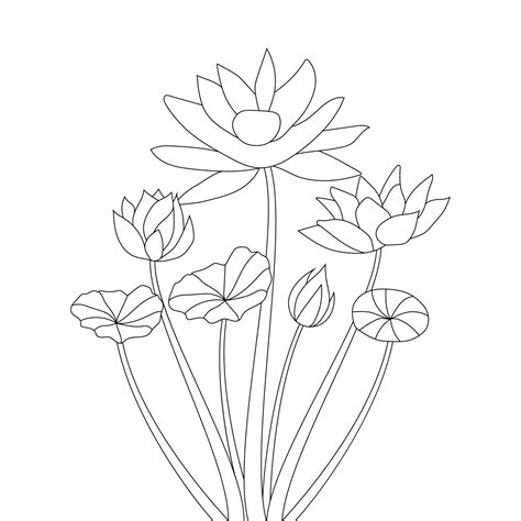 Nelumbo Nucifera Flower Detail Line Art Drawing Coloring Page For Print