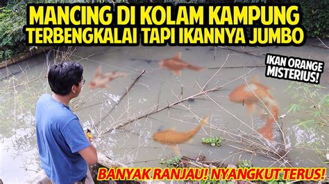 Mancing Di Kolam Kampung Terbengkalai Tapi Ikannya Besar Besar Banyak