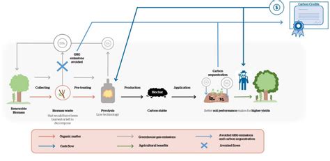 Biochar A Carbon Sequestration Tool For Rural Communities EcoAct