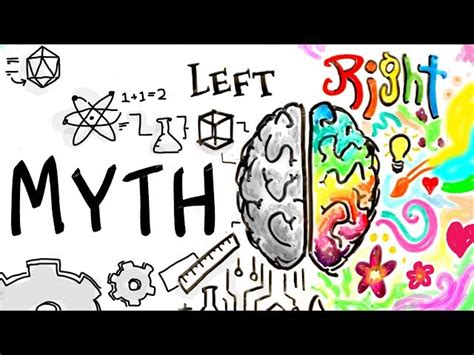 The Left Brain Right Brain Myth Debunked Schooltube