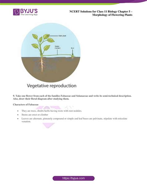 Ncert Solutions Class 11 Chapter 5 Morphology Of Flowering Plants