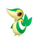 Check De Actuele Waarde Van Je Venusaur Snivy Gx Kaart Uit De