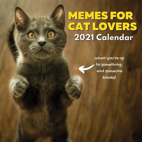 Memes For Cat Lovers 2021 Calendar: Funny Gifts for Owners, Stocking ...