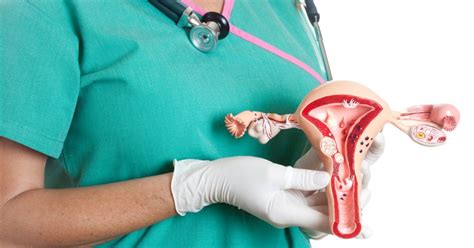 Inmunoterapia Para El Cáncer De Endometrio Es Aprobado Por La Fda La