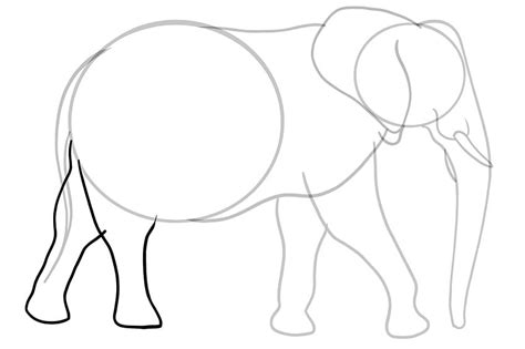 How To Draw An Elephant Create A Realistic And Easy Elephant Drawing Elephant Drawing Easy