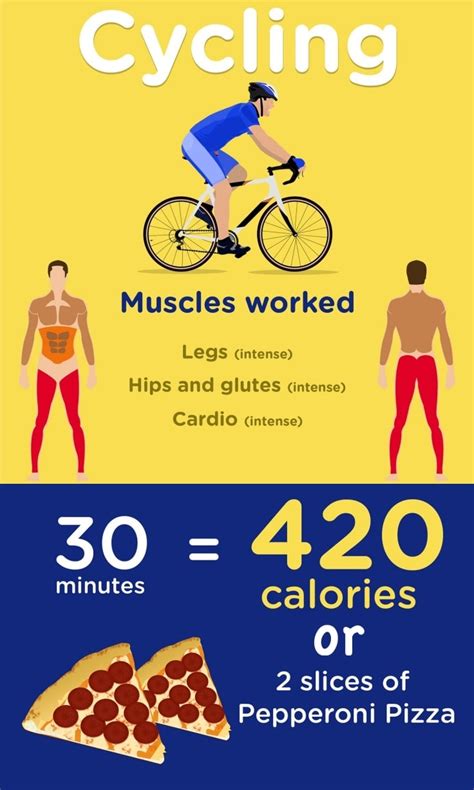 Cycling Calories Burned And Muscles Worked