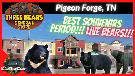 Best Souvenirs Three Bears General Store And Gift Shop In Pigeon Forge