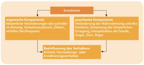 Sw Emotion Und Motivation Karteikarten Quizlet