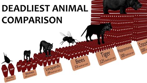 What Animals and Organisms Kill the Most Humans Each Year?