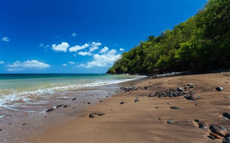 Plage Caraibes Pointe Noire Dsullana