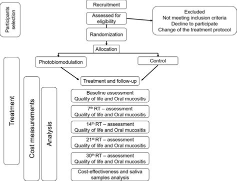 Flowchart Of The Study Rt Radiotherapy Download Scientific Diagram