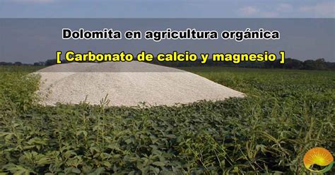 Beneficios Del Carbonato De Calcio Como Fertilizante En La Agricultura