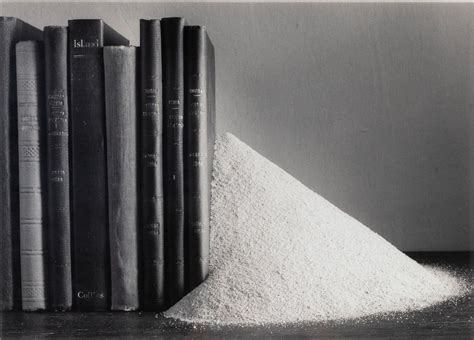 CHEMA MADOZ (Madrid, 1958) "Bibliothèque". Photographie en gélatine argentique. Œuvre reproduite ...