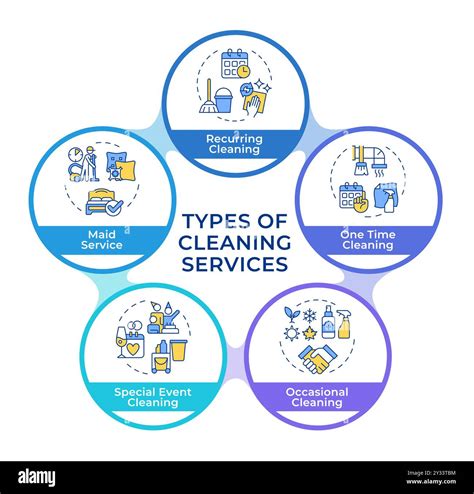 Professional Cleaning Services Types Infographic Circles Flowchart